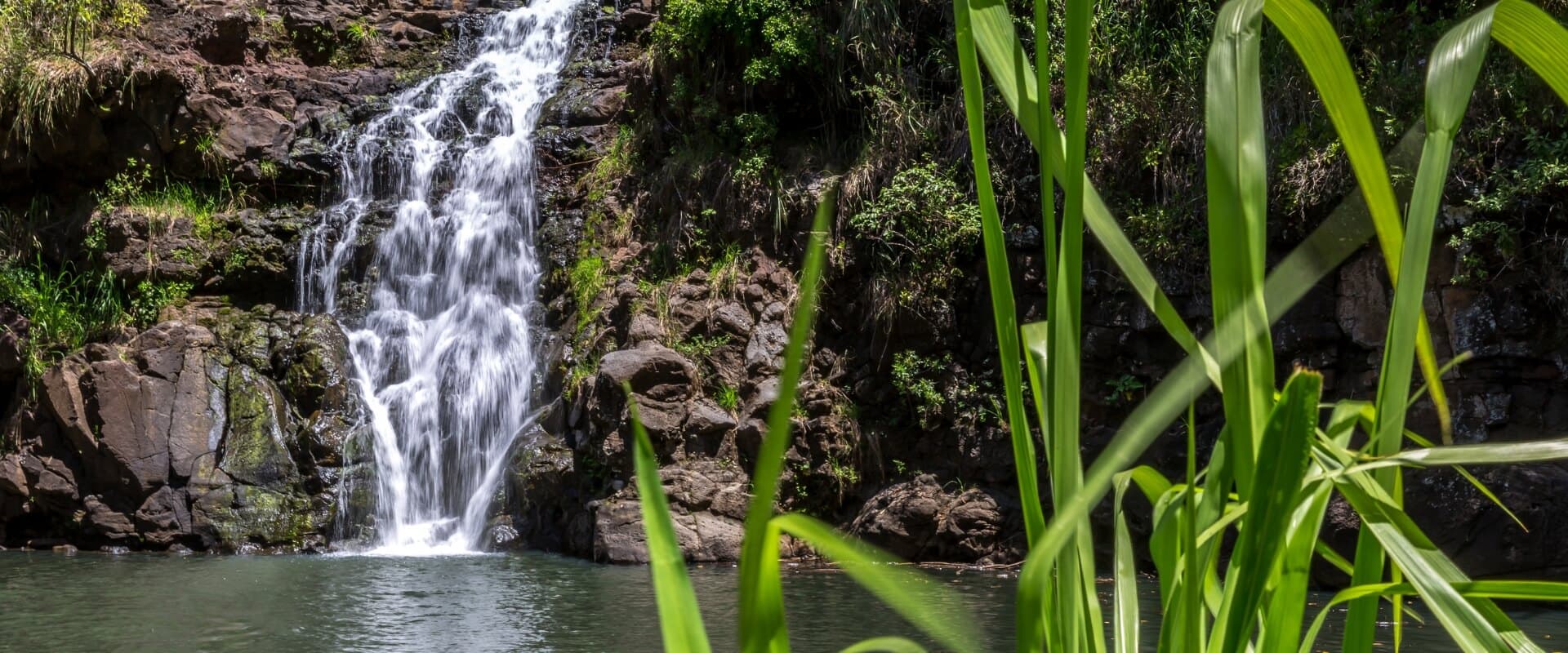 A serene waterfall cascades over rocks into a calm pool, framed by lush greenery.