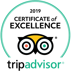 2019 Trip Advisor Certificate of Excellence Award Logo