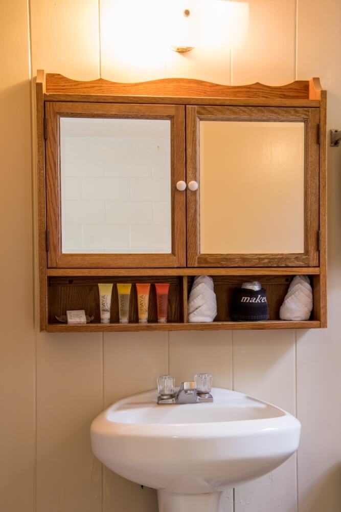 bathroom sink and mirrored cabinet